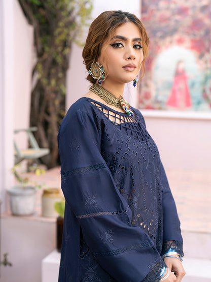Chikankari 3PC  Dhanak Embroidered With Digital Printed Wool Shawl-118